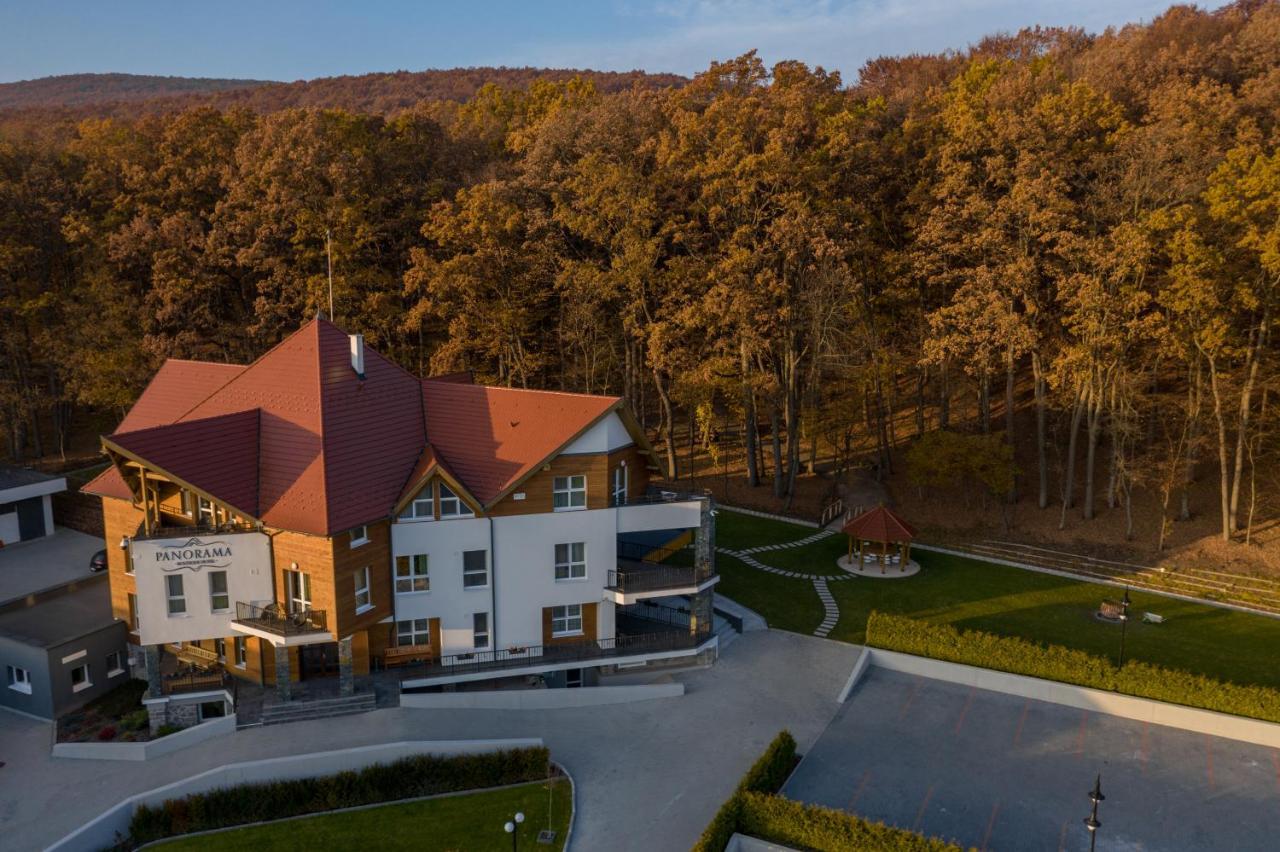 Panorama Boutique Hotel Сфинту-Ґеорґе Екстер'єр фото