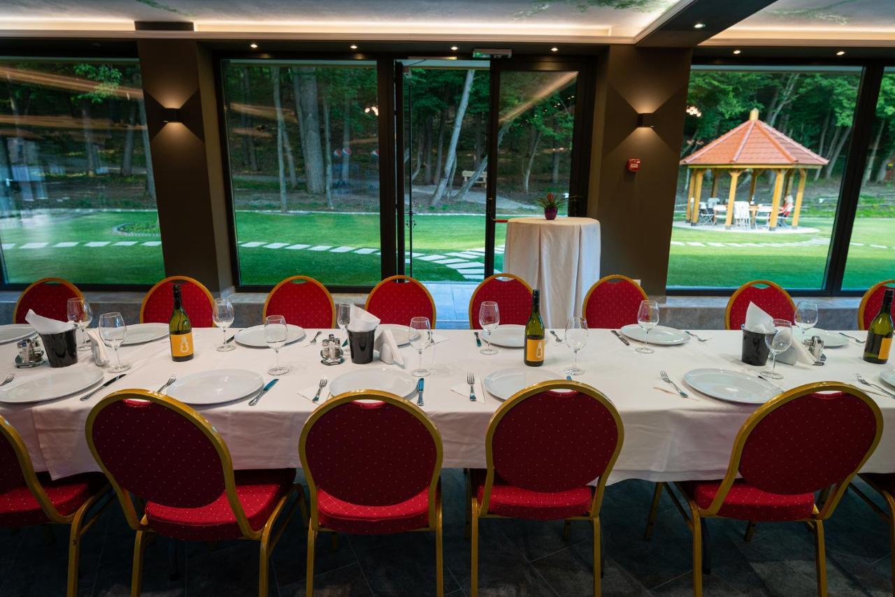 Panorama Boutique Hotel Сфинту-Ґеорґе Екстер'єр фото