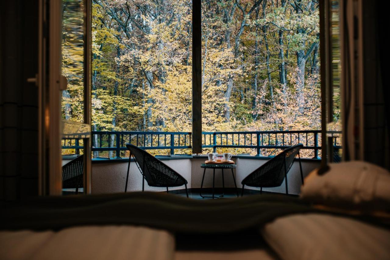 Panorama Boutique Hotel Сфинту-Ґеорґе Екстер'єр фото