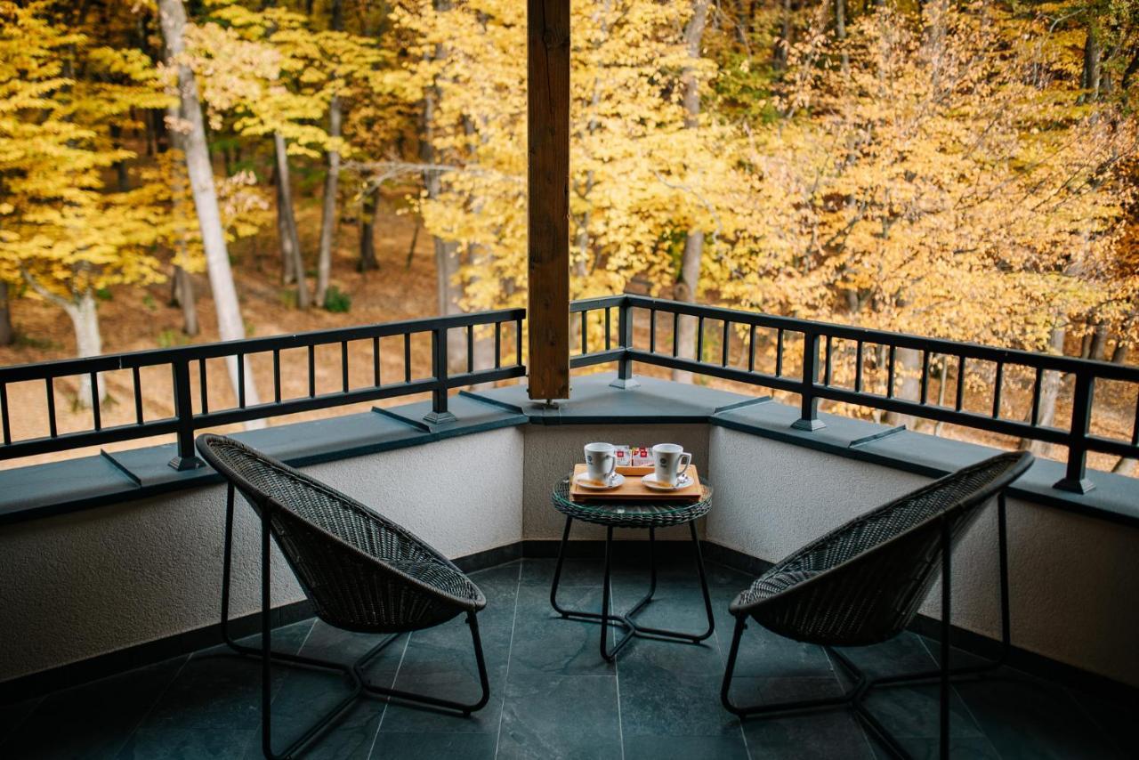 Panorama Boutique Hotel Сфинту-Ґеорґе Екстер'єр фото