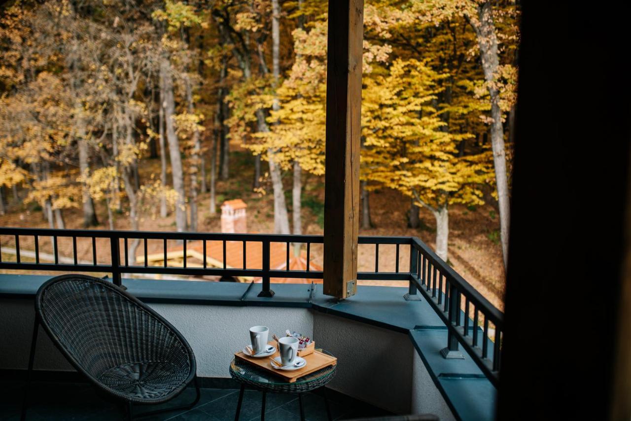 Panorama Boutique Hotel Сфинту-Ґеорґе Екстер'єр фото