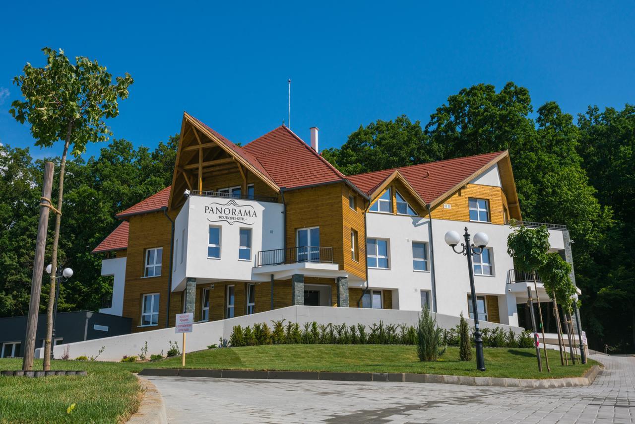 Panorama Boutique Hotel Сфинту-Ґеорґе Екстер'єр фото